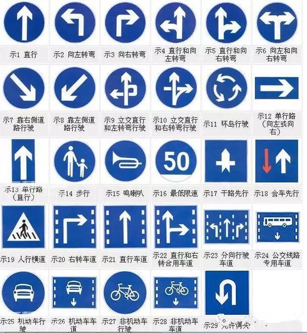 看清信號(hào)燈、標(biāo)牌與標(biāo)線