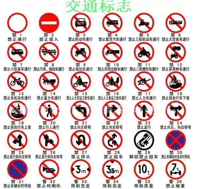 看清信號(hào)燈、標(biāo)牌與標(biāo)線